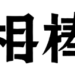 ダーツ　相棒　
